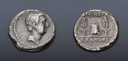 Lot 355 image