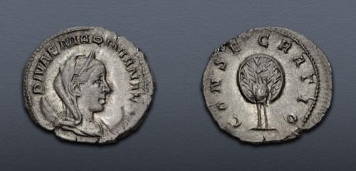 Lot 537 image