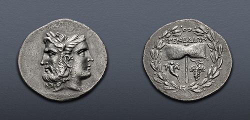 Lot 314 image