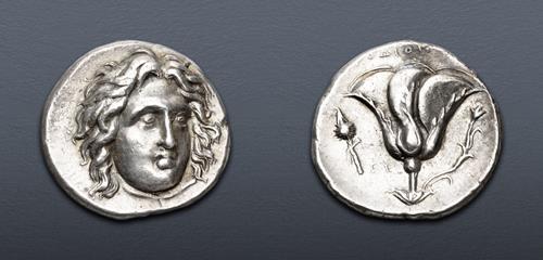 Lot 427 image