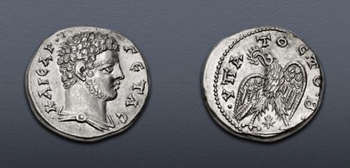 Lot 702 image