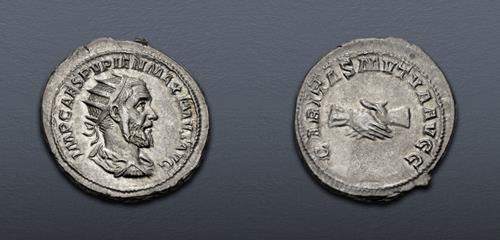 Lot 916 image