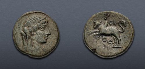 Lot 213 image