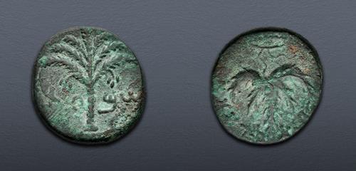 Lot 221 image