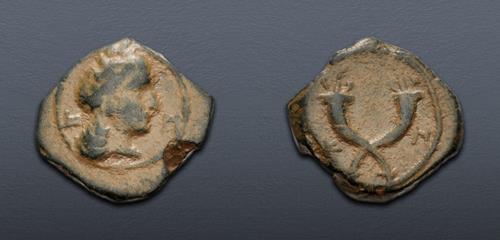 Lot 226 image