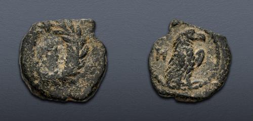 Lot 229 image
