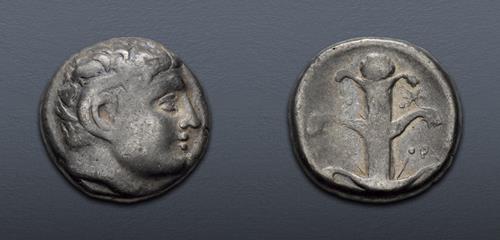 Lot 258 image