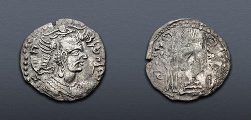 Lot 305 image