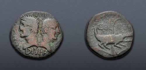 Lot 307 image