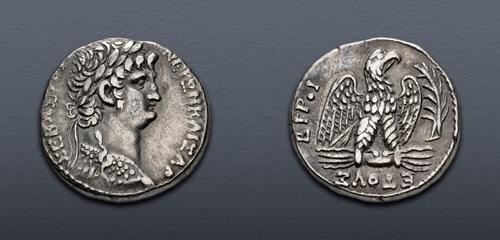Lot 355 image