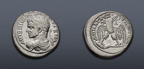 Lot 359 image