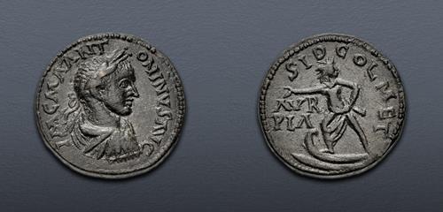 Lot 368 image