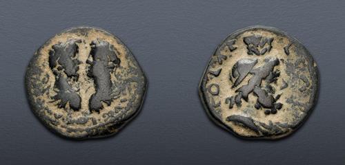 Lot 376 image