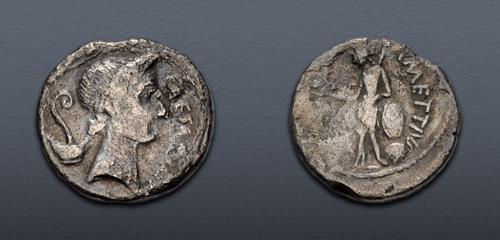 Lot 442 image