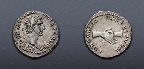 Lot 510 image