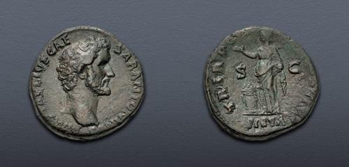 Lot 528 image