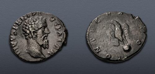 Lot 543 image