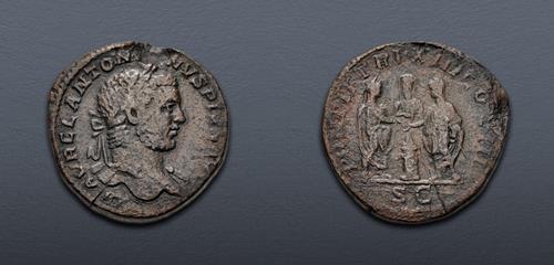 Lot 555 image