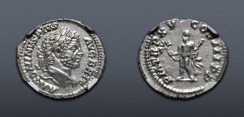 Lot 556 image