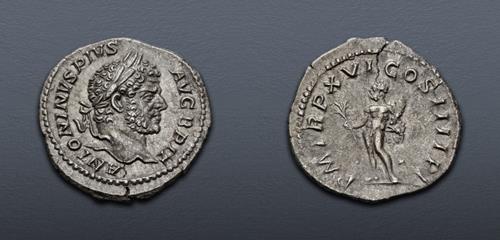 Lot 557 image