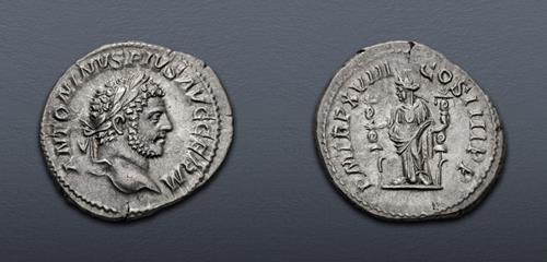Lot 559 image