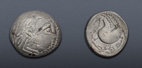 Lot 1 image