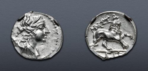 Lot 9 image