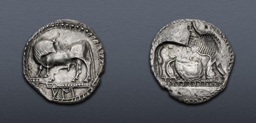 Lot 14 image