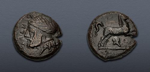 Lot 16 image