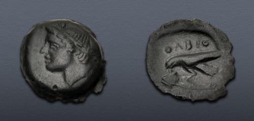 Lot 35 image