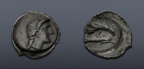 Lot 36 image