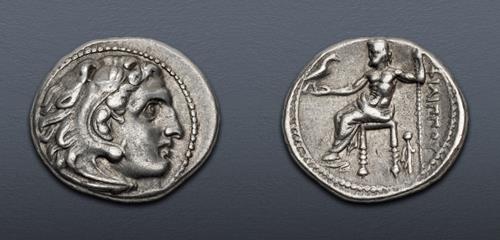 Lot 49 image