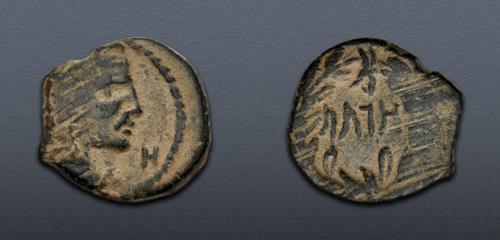 Lot 183 image