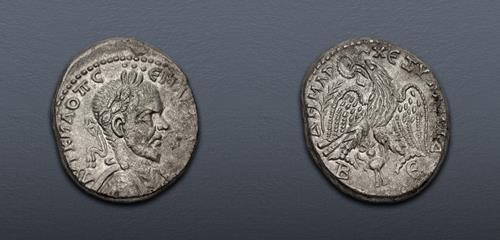 Lot 263 image