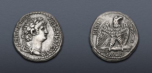 Lot 267 image