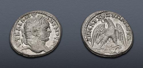 Lot 301 image