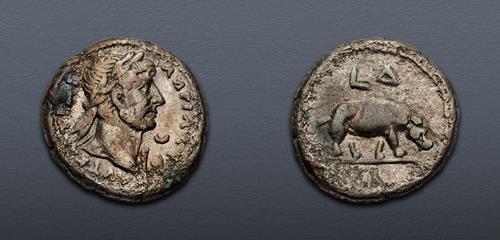 Lot 313 image