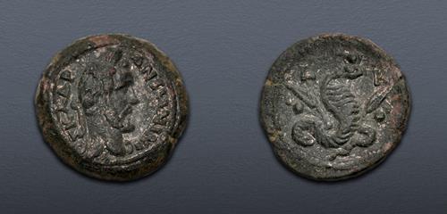 Lot 318 image