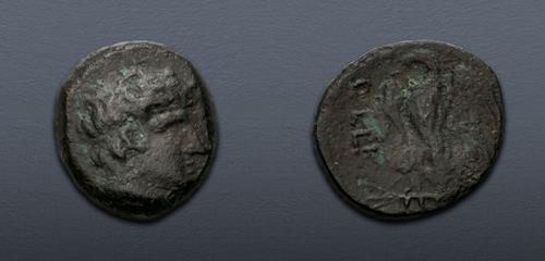 Lot 221 image