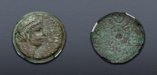 Lot 245 image