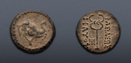 Lot 264 image