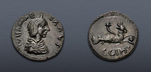 Lot 305 image