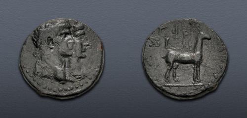 Lot 319 image
