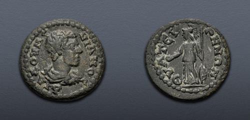 Lot 337 image