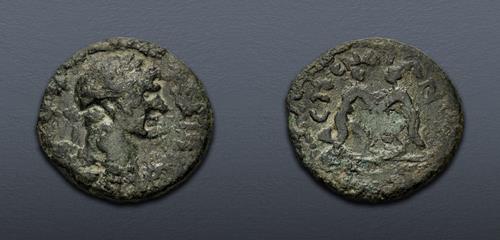 Lot 359 image