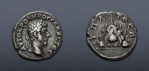 Lot 388 image