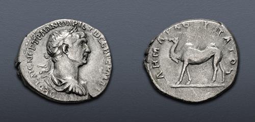 Lot 431 image