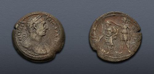 Lot 445 image