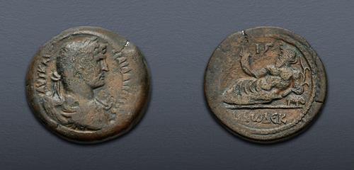 Lot 446 image