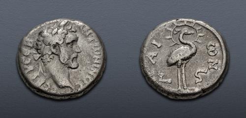 Lot 453 image